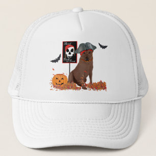 Bruine Labradoedel Piraat Trucker Pet