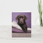 Bruine labrador Retriever Puppy Dog Blank Note Car Kaart (Voorkant)