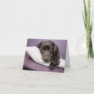 Bruine labrador Retriever Puppy Dog Blank Note Car Kaart