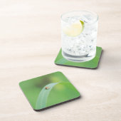 Bruine ladybug onderzetter (Rechterzijde)