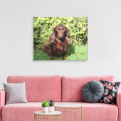Bruine, langharige miniatuur Dachshund Canvas Afdruk (Insitu (Woonkamer))