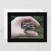 Bruine marlijn briefkaart (Voorkant / Achterkant)