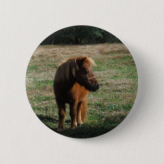 bruine minipaarden ronde button 5,7 cm (Voorkant)