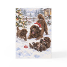 Bruine Newf en Puppies Spelen in de Sneeuw Kaart