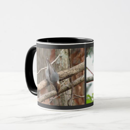 Bruine Nuthatch-Mok Mok (Voorkant links)