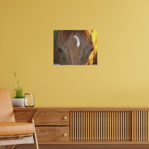 Bruine Paard met Witte Gezichtstekening Fotografis Poster