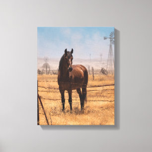 Bruine Paard Windmolen Veld Blauwe Lucht Kunst Canvas Afdruk