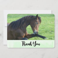 bruine paarden die in de gras liggen Dank u wel