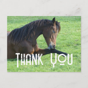  bruine paarden die in de gras liggen Dank u wel Briefkaart