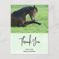  bruine paarden die in de gras liggen Dank u wel