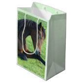 bruine paarden die in de Grass Birthday zijn gela Medium Cadeauzakje (Achterkant Gekanteld)