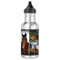 Bruine paardenkollage, waterflesje