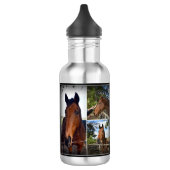 Bruine paardenkollage, waterflesje waterfles  (Links)