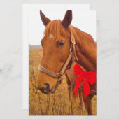 Bruine paardenrog briefpapier (Voorkant / Achterkant)