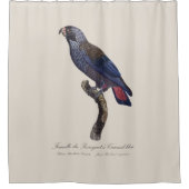 Bruine papegaai, Pionus fuscus Douchegordijn (Voorkant)
