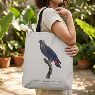 Bruine papegaai, Pionus fuscus Draagtas