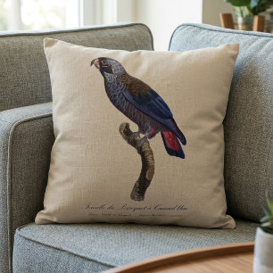 Bruine papegaai, Pionus fuscus Kussen