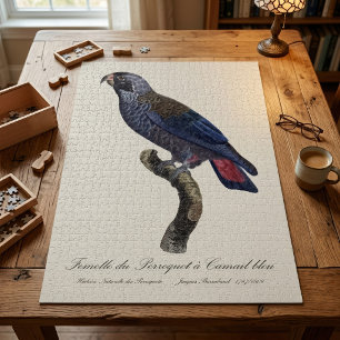 Bruine papegaai, Pionus fuscus Legpuzzel