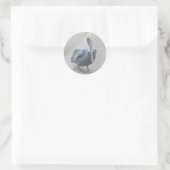 Bruine Pelican #2 Stickers (Tas)