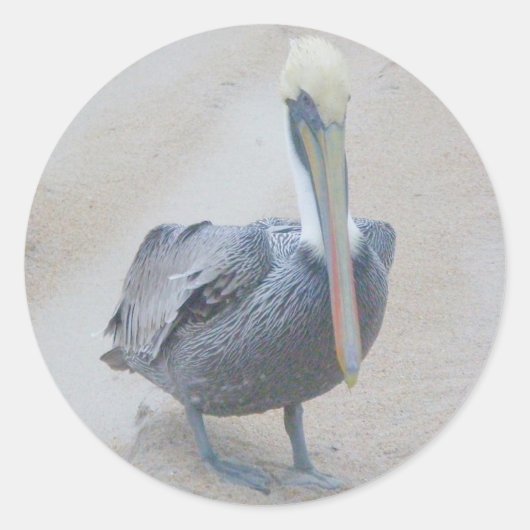 Bruine Pelican #2 Stickers (Voorkant)