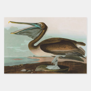 Bruine Pelican Birds of America Audubon Print Inpakpapier Vel