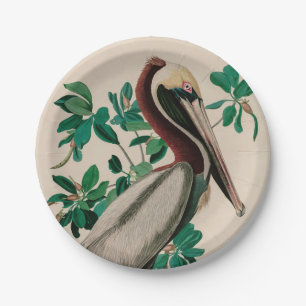 Bruine Pelican Birds of America Audubon Print Papieren Bordje