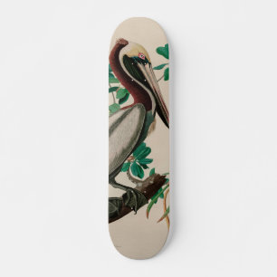 Bruine Pelican Birds of America Audubon Print Skateboard
