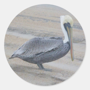 Bruine Pelican Stickers
