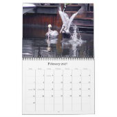 Bruine Pelicans Kalender (Feb 2027)