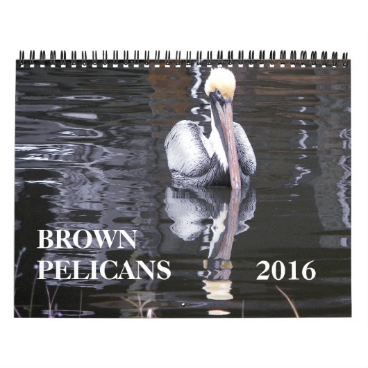 Bruine Pelicans Kalender (Hoes)