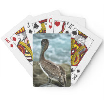 Bruine Pelikaan bij de Oceaan