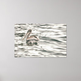 Bruine pelikaan in het water canvas afdruk