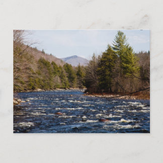 bruine pierre briefkaart