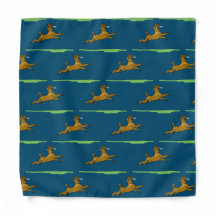 Bruine poedel met frisbee