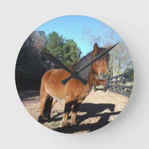 Bruine pony turquoise Lucht Ronde Klok