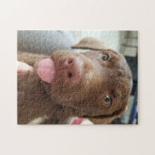 bruine puppy legpuzzel (Horizontaal)