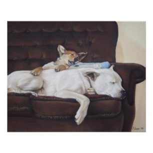 bruine puppy met witte amerikaanse snuithond perfect poster