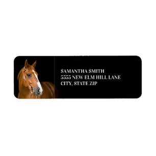 Bruine Quarter Horse Foto Zwart Etiket