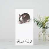 Bruine Rat Met Witte Bles Op Neus Bedankkaart (Staand voorkant)