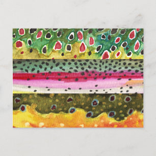 Bruine, regenboog en Brook-forel Vist Briefkaart
