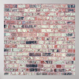 Bruine Rood Roosterbankwand met ruggengraat Poster