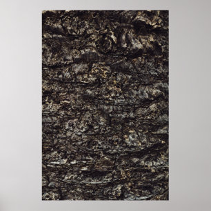 Bruine rots poster