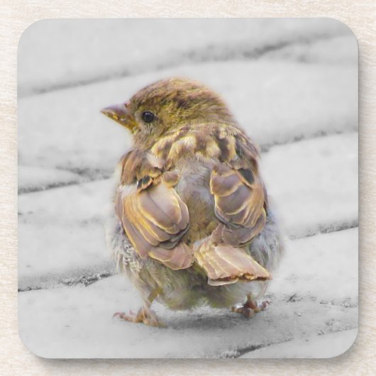 Bruine Sparrow Drankjes Onderzetter (Voorkant)