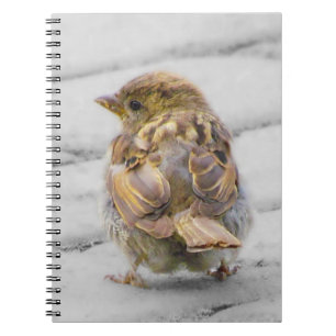 Bruine Sparrow Notitieboek