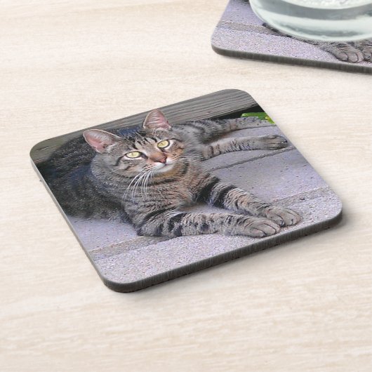 Bruine tablet in openlucht bier onderzetter (Linkerzijde)