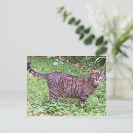 Bruine tablet in openlucht briefkaart (Staand voorkant)