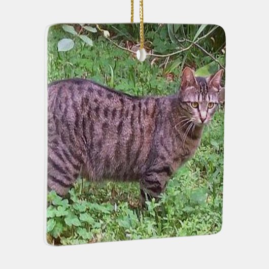 Bruine tablet in openlucht keramisch ornament (Rechts)