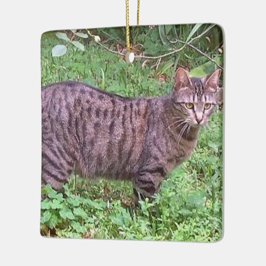 Bruine tablet in openlucht keramisch ornament (Links)