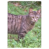 Bruine tablet in openlucht klembord (Achterkant)