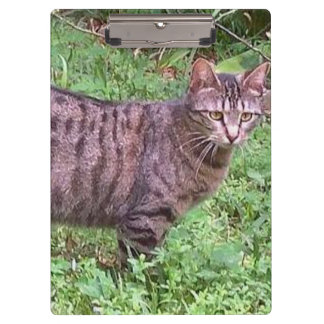 Bruine tablet in openlucht klembord